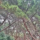 남파랑길 46코스 이미지