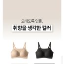 [임신/19w4d] 임산부용 샴푸, 속옷, 수영복, 바지 내돈내산 후기