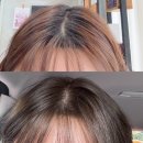 구미 석적 미용실 추천 박마담헤어 손상없는 카키브라운 염색 후기