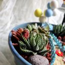 힐링정원 이미지