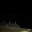 소프테일 슬림 2016년식 29, xxx 판매합니다 이미지