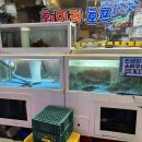 훼미리호프