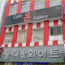 갤러리온 인근 Daum카페