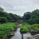 솜반내(솜반천) 이미지