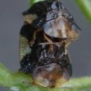 기주목장 이미지