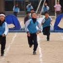 소토초등학교 이미지