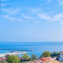 오션힐파크 호텔펜션 이미지