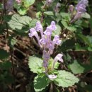 오동수원지 이미지