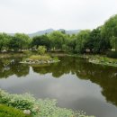 입장 포도길 이미지