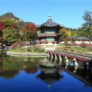 향원정 네이버블로그
