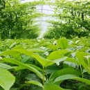 효도농장 이미지