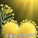 미양가