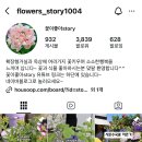 꽃이 좋아 이미지