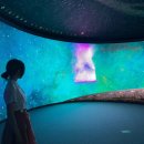 흑산태도수산 | 남양주 실내 아이와 가볼만한곳 실학박물관 다산어보 전시관 주차장 입장료 물품보관함
