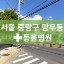 금란동물병원 이미지