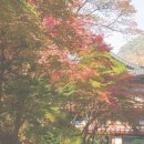 서로하다