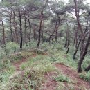 용동축산 이미지