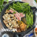 중궁원리 마을회관 | 경남 양산 원동 미나리 삼겹살 5번집 방문 후기