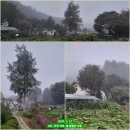 촌부의 단상-꽤나 바삐 움직인 하루 이미지