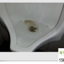 리빙당구장 이미지