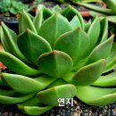 창전농장 이미지