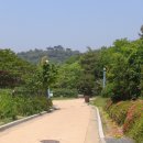 안면도자연휴양림 이미지