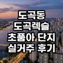 서울대도초등학교 | 도곡동 도곡렉슬 실거주 후기 초품아 단지의 현실과 가치 총정리