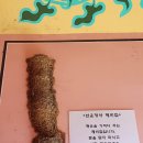 파란바다약국 이미지