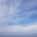 제주도게스트하우스파티 메르블루민박 이미지