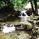 내포신도시 족구장 | 덕산 리솜스파캐슬 근처 펜션숲속의정원펜션 강추 덕산펜션 후기