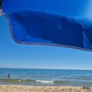 맥시칸치킨주문진점 | 강릉 주문진 맛집 - 주문진 해변에서 먹는 맛있는 치킨 맥시칸치킨 주문진점