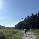 원정곡 | [260730] 대구삼성라이온즈파크 원정응원석 1-2구역 26열 직관 후기