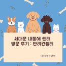 홍은애견미용 | 서대문 내품애 센터 방문 후기 반려견 쉼터