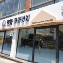 리본 동물병원 이미지