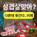 세븐일레븐 신림본점 | 신림 미나리삼겹살 본점 마트에서 못먹어본 고기맛과 매운짜장으로 정신 차린 후기