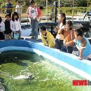 한국타이어(주) 금산공장 - 3644 | 한국타이어(주) 금산공장
