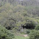 신안흑산진리무심사지삼층석탑과석등 네이버블로그