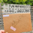 이베리스 | [남해 여행] 은모래비치 남해 숙소 찐추천_이베리스 펜션♥