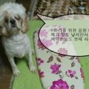 라라세탁소