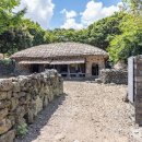 성읍1리 이미지