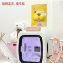 주식회사 제주펫 이미지