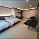 퍼플 315 이미지