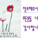 Re: Re: 제 739차 토요정기산행// 영주 도솔봉 //2025년 1월 18일// 찬조현황 이미지