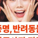 증명가족사진관레드셔터천안 이미지