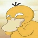 (주)자작나눔
