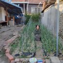 논공이용소 이미지