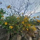 해이 민박 이미지