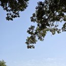 올림피아체육관 이미지