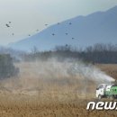 낙동강관리본부 화명생태공원 3 이미지