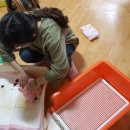 가브리엘의 다락방 이미지